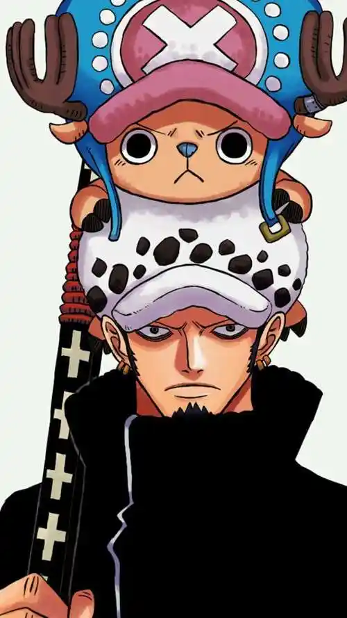 海贼王——托拉法尔加.罗,我的最爱