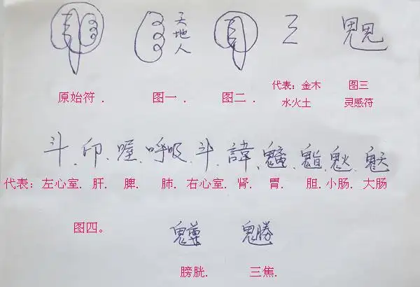 轻舞飞扬的博客