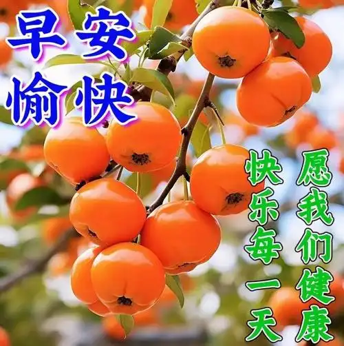 早安早上好,点点问候,幸福无边