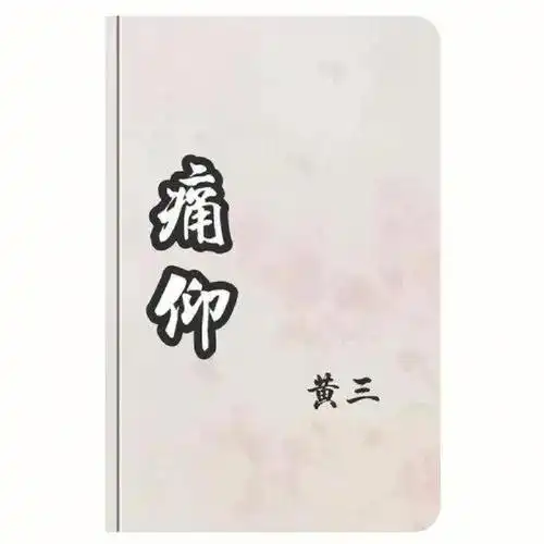 小说推荐23痛仰