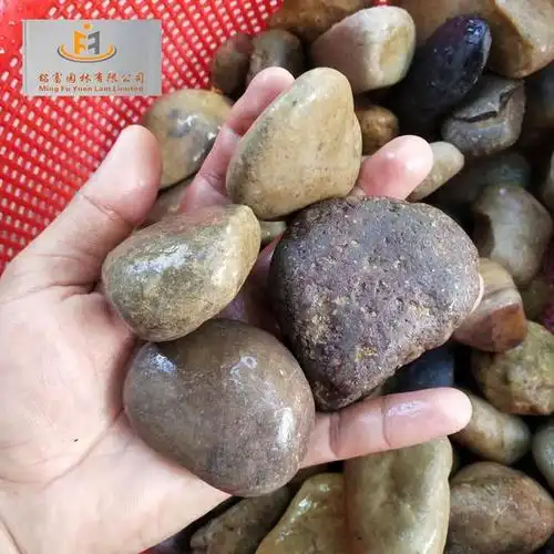 普通五彩鹅卵石图片,广东3-5cm鹅卵石图片,广东五彩鹅卵石价格