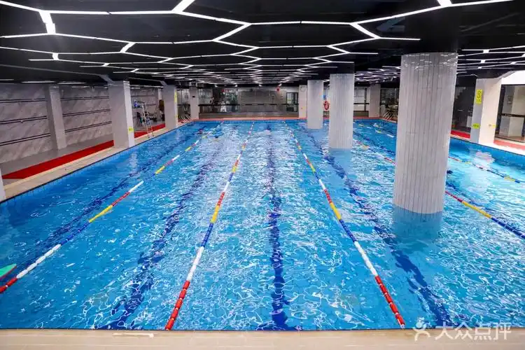 【金海豚健身·恒温游泳馆团购】-大众点评网团购