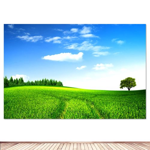 蓝天白云墙贴画稻田海报绿色护眼壁画办公室书房玄关挂画风景装饰