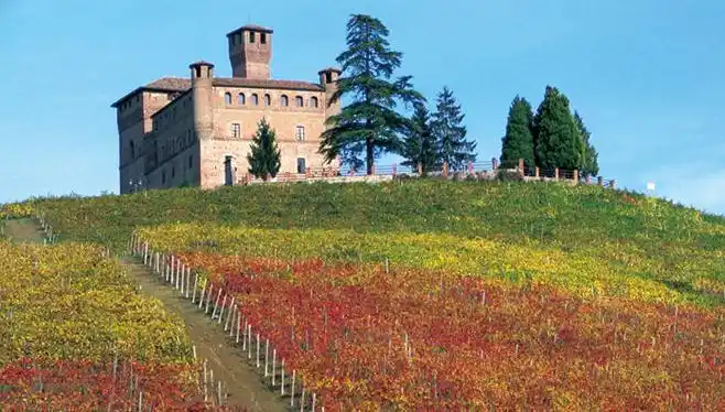 意大利酒庄考察:了解葡萄酒悠久的历史与文化