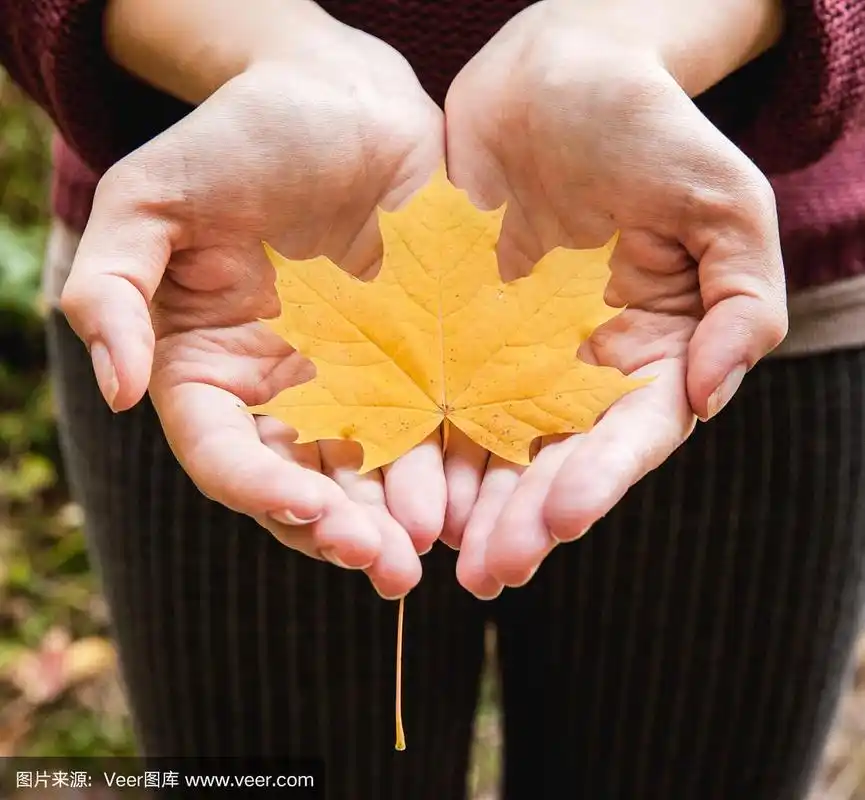 手中拿着秋黄的枫叶