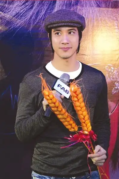 王力宏亮相京城,想进国家大剧院过指挥瘾