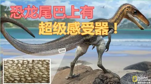 揭秘侏罗纪的"摸鱼王":这种恐龙靠尾巴钓鱼