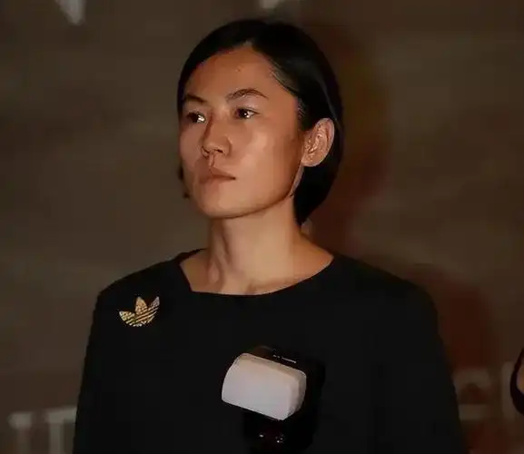 曾插足王菲婚姻,如今被指控偷税漏税|高原|高源|窦唯_新浪新闻