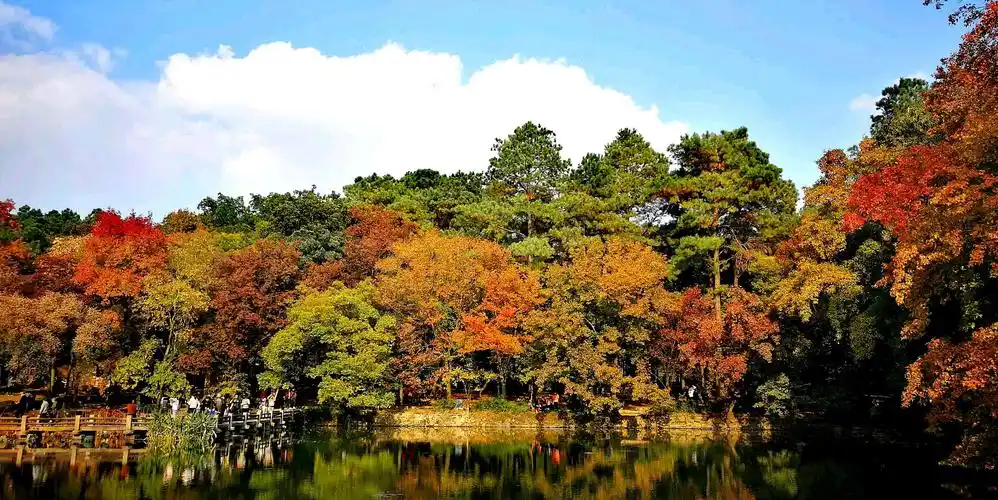 苏州天平山之秋