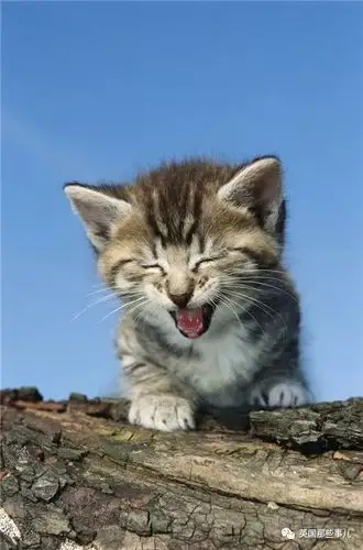 昨天微笑日这些小可爱大可爱的笑脸每个都杀伤力十足