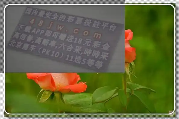 三中三九颗号复式是多少组?