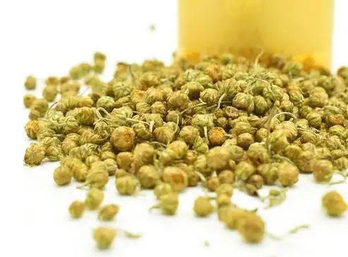 珍珠菊的功效与作用珍珠菊的保健功效和饮用禁忌