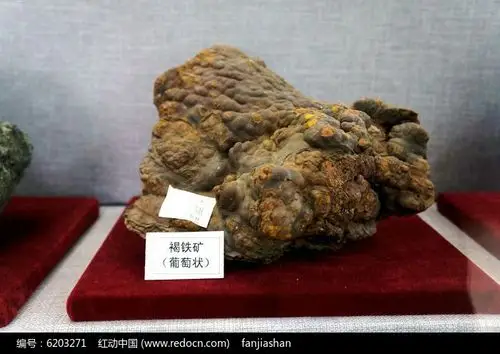 入药矿石 葡萄状褐铁矿