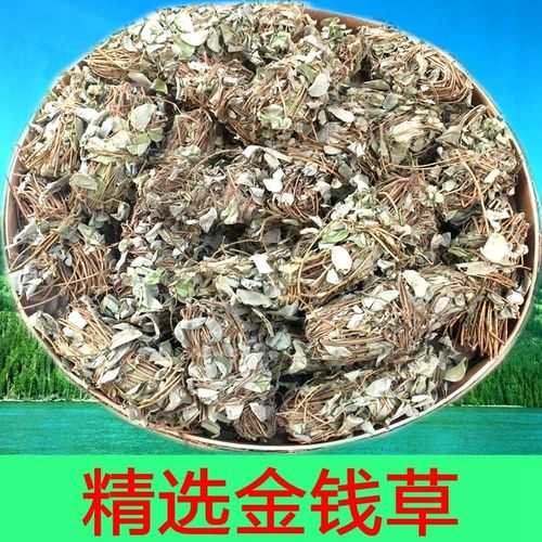 金钱草500克 广西金钱草 大叶金钱草 落地金钱包邮