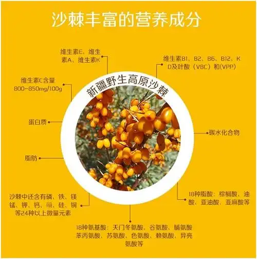 沙棘的六大功效