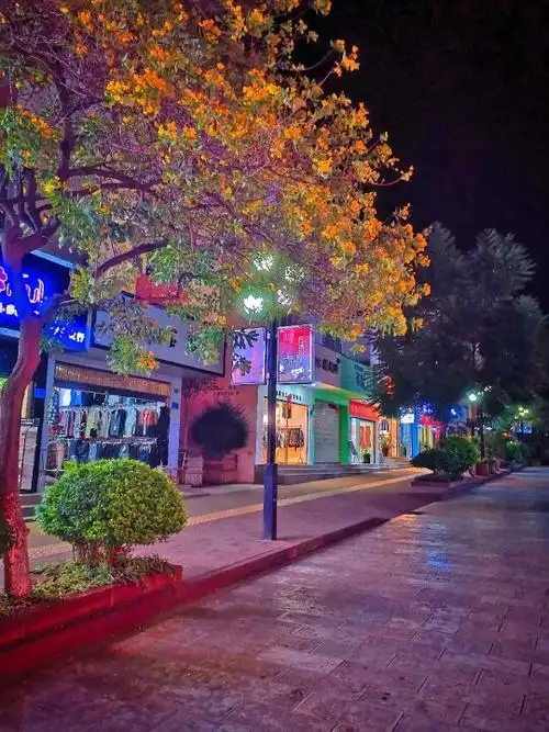 一个人看夜景伤感图片