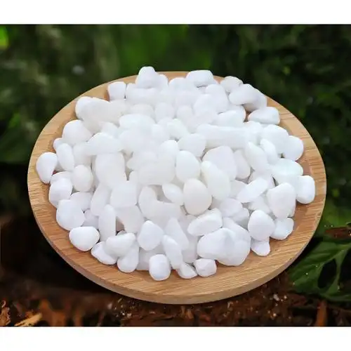 白石子白色石头多肉铺面园林绿化造景鹅卵石庭院铺路铺地小白石头