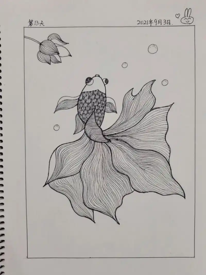 创意线描画/会跳舞的金鱼/day13 7715控笔练习第13天 	 7715