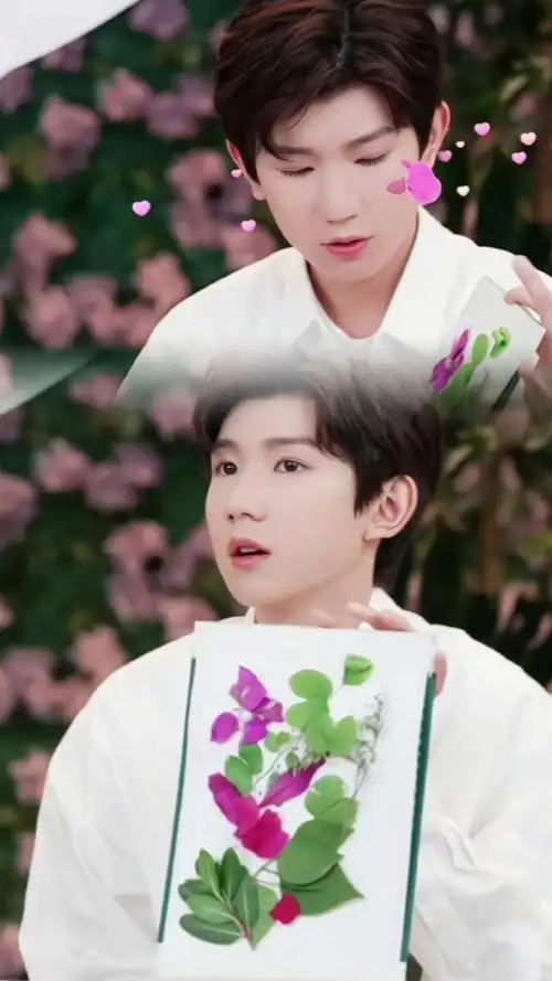 王源23岁且放青山远