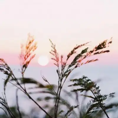 风景头像微信头像