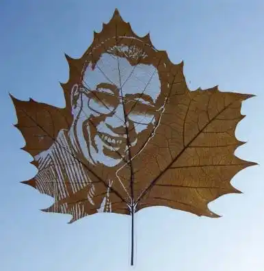 叶美吗树叶雕刻