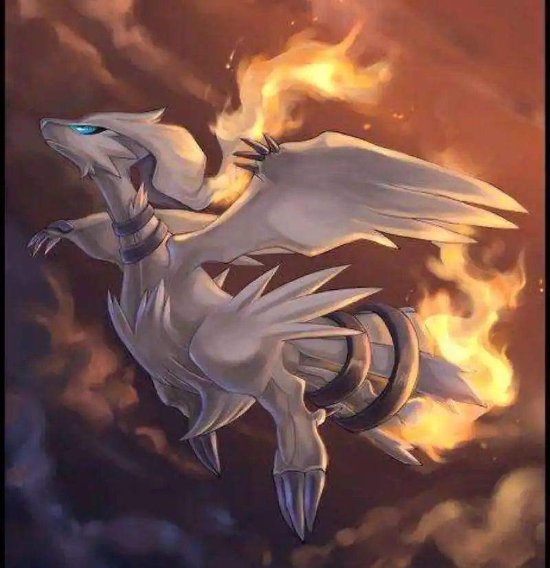 解析《神奇宝贝》里的八大火系神兽,你们觉得哪个堪称最强?