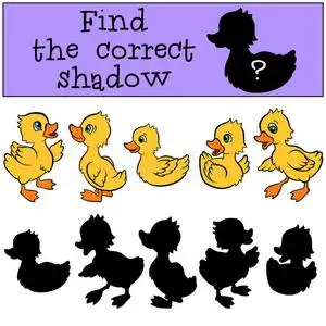 鸟的影子图片-鸟的影子素材-鸟的影子插画-摄图新视界