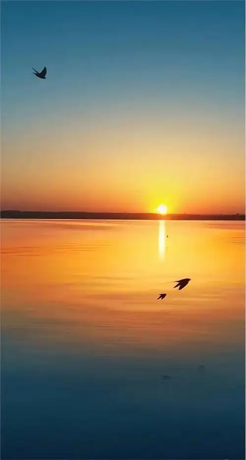 大海沙滩清新聊天背景,大海沙滩背景图片(愿你乘风破浪,扬帆远航)
