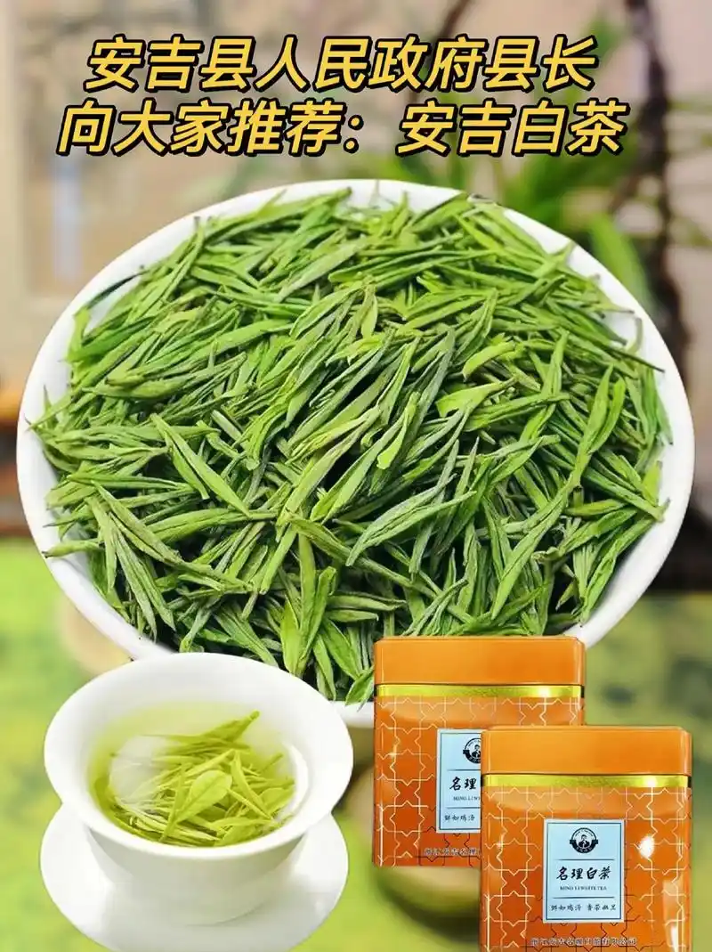正宗明前安吉白茶新茶.安吉白片茶也称玉蕊茶.