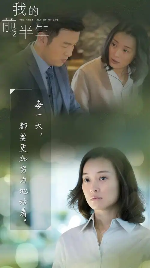 电视剧我的前半生唯美剧照