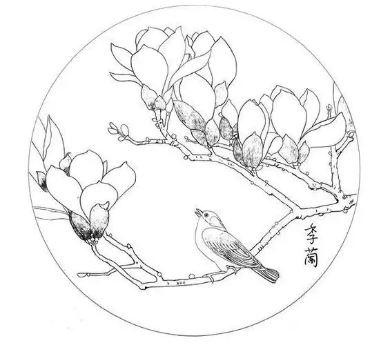 季阑工笔花鸟圆扇面29幅,色稿 白描,喜欢的收藏关注