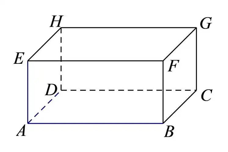 在已知图形基础上,补画长方体的直观图(不写画法步骤); (2)在这个长方