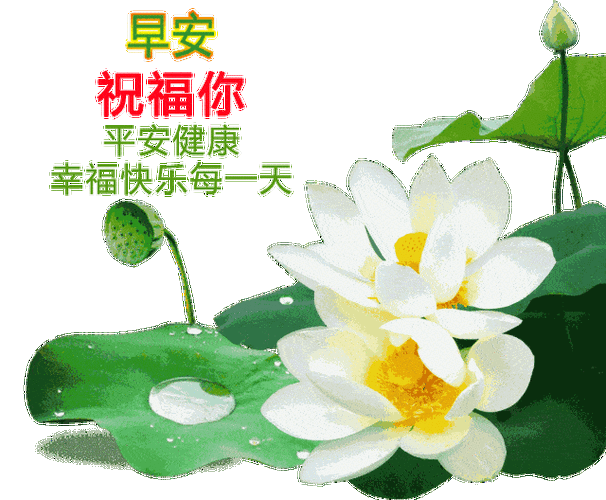 原创8张最新不用打字就可以聊天的早上好图片2021创意好看的秋日早安