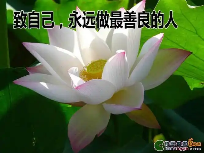 做一个善良的人