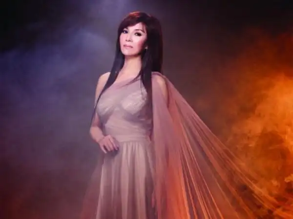 蔡秋凤薄纱扮女神 性感look助门票大卖