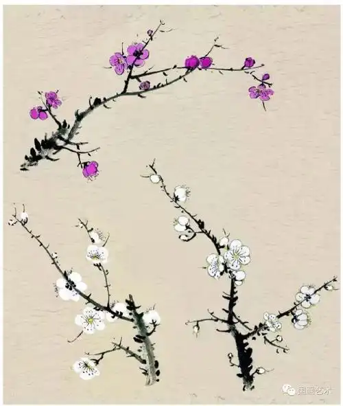 国画入门教程梅花的画法简单实用