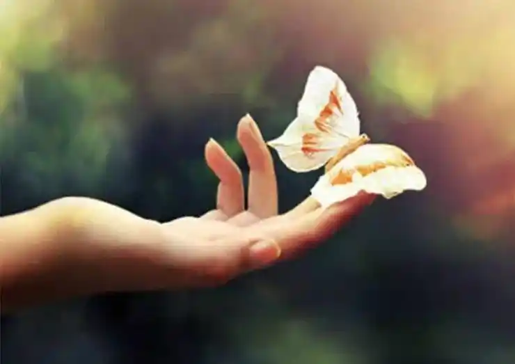 放手才是最好的爱