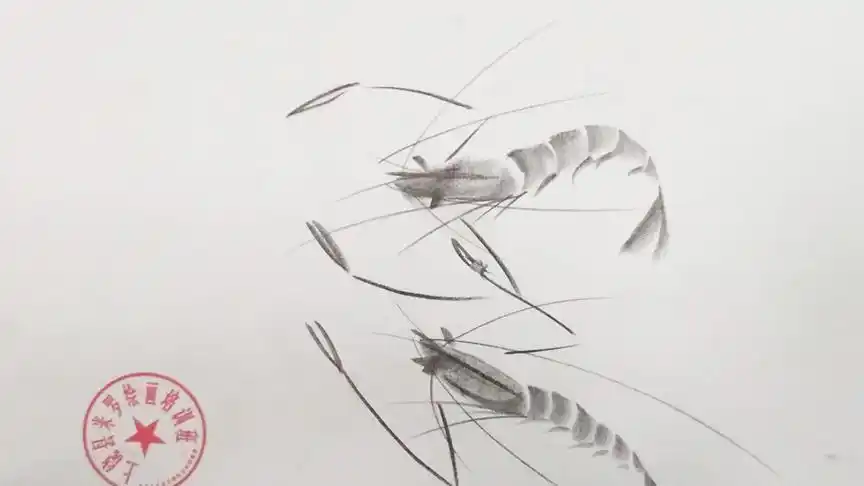 《虾》铅笔中国画
