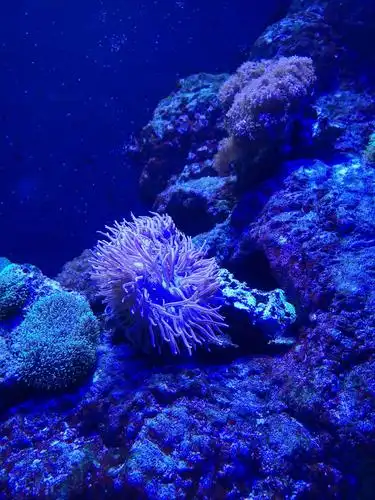 海滨城——拥抱海洋世界