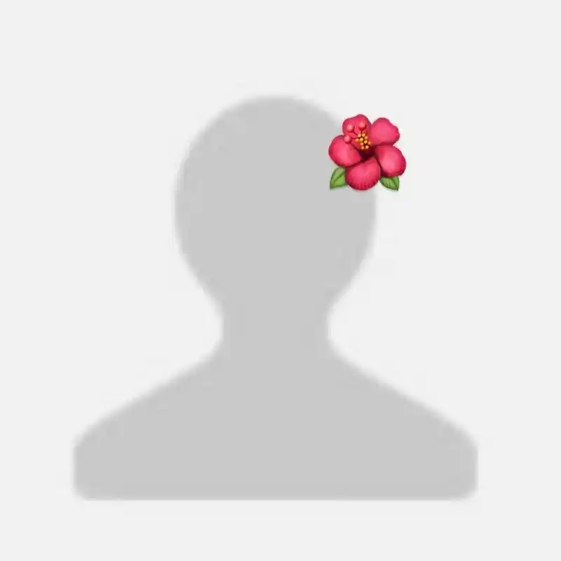 我emoji了微信原始头像哈哈哈哈哈哈哈 小图完全是注销账号的既视感