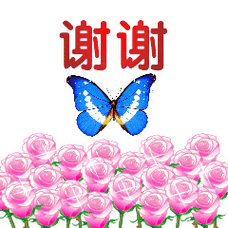 240_240gif 动态图 动图