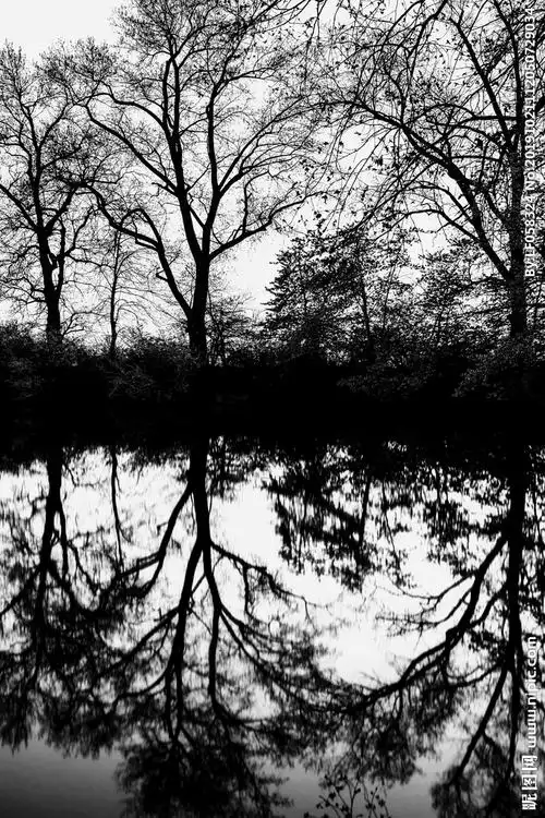 黑白图片设计图__自然风光_自然景观_设计图库_昵图网nipic.com