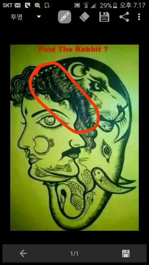 谁能给我标记一下!(据说100个人里面只有3个人能看见兔子).