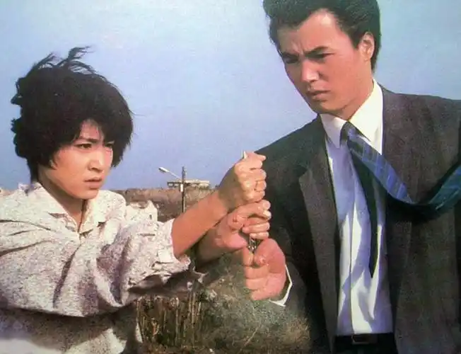 海鸥飞处彩云飞