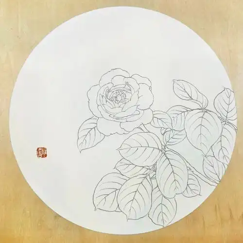 线描圆形构图中的月季花写生的绘画过程