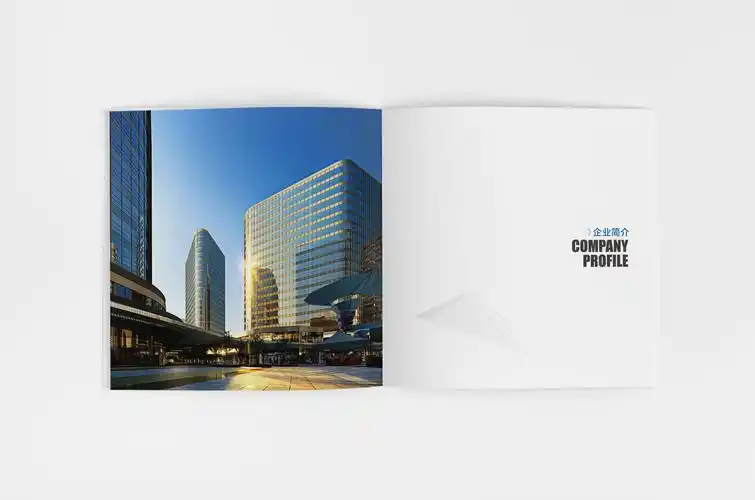 集团 企业 公司 物流 投资画册宣传册|平面|书籍/画册|二十三省 - 原