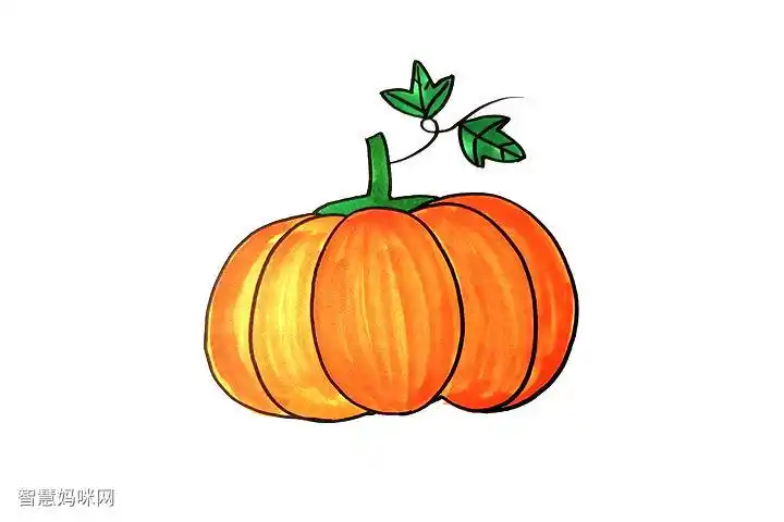 简单的南瓜怎么画-图5