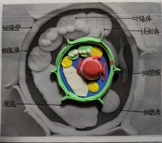星光仙林附中仙林星作业2023级星作业及优秀作品集锦一
