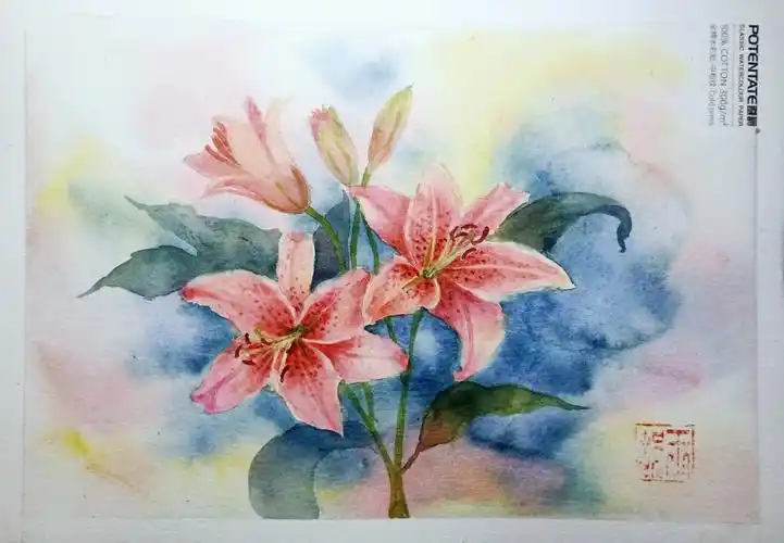 水彩百合花含步骤图