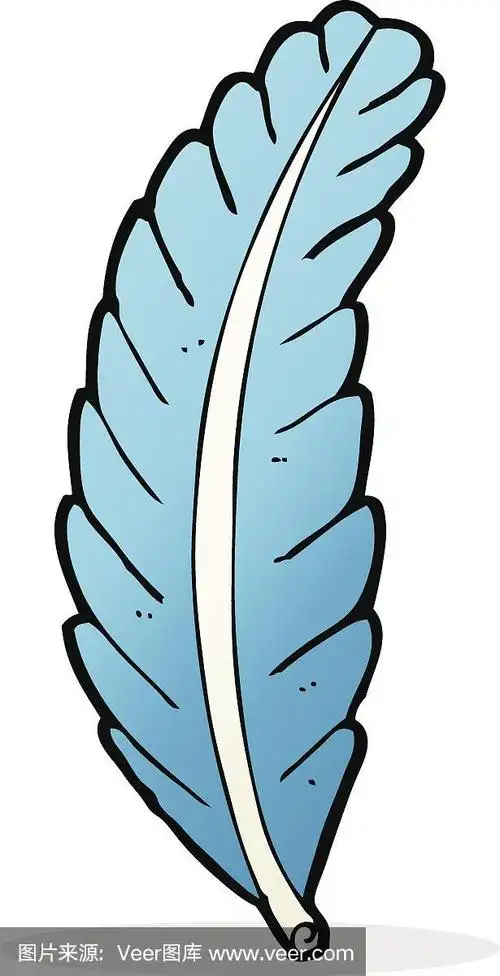 羽毛,卡通,可爱的,矢量,图像